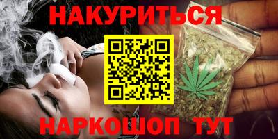 крисы Пенза