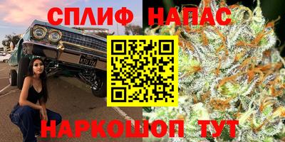 мяу мяу мука Партизанск