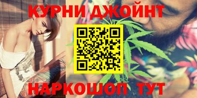 крисы Пенза