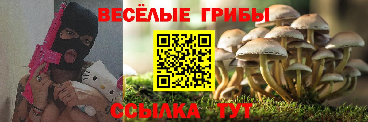 Псилоцибиновые грибы MAGIC MUSHROOMS  Псилоцибиновые грибы MAGIC MUSHROOMS  Вход с VPN  Шадринск 